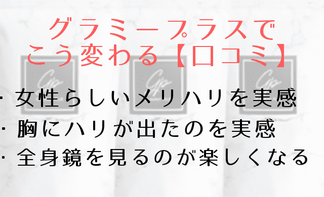 グラミープラスの説明