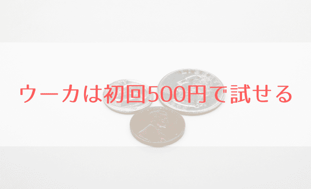 電話 ウーカ 解約