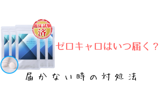 ゼロキャロはいつ届く?