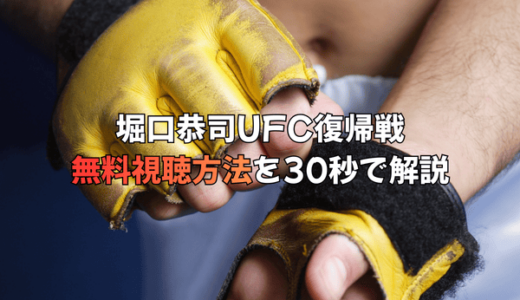 堀口恭司参戦！UFCファイトナイト・カタール無料視聴方法を30秒で解説