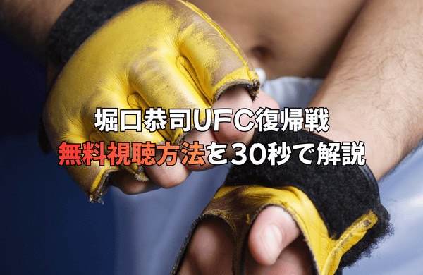 堀口恭司参戦！UFCファイトナイト・カタール無料視聴方法を30秒で解説新