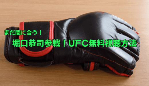 堀口恭司参戦！UFCファイトナイト・ラスベガス113無料視聴方法を30秒で解説